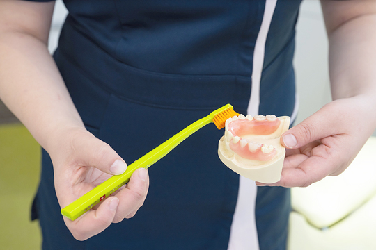 予防歯科・定期検診 - ラブデンタルクリニック（世田谷区桜新町）